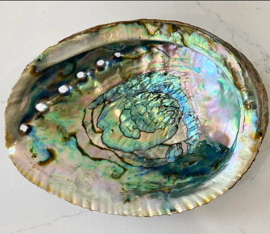 Abalone Shell Smudge Bowls (Large)